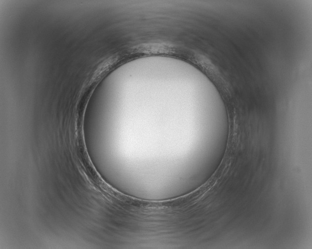 X0000079320202200611170939