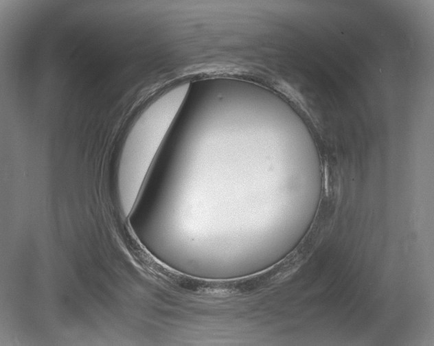 X0000079320205200611170939