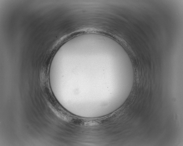 X0000079320208200611170939