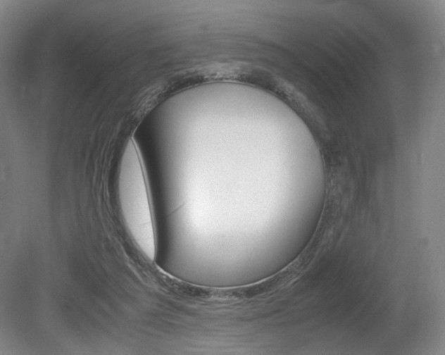 X0000079320209200611170939