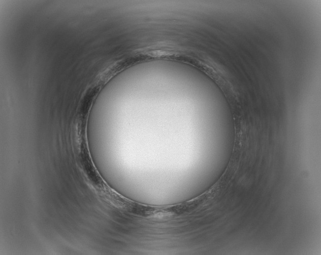X0000079320210200611170939