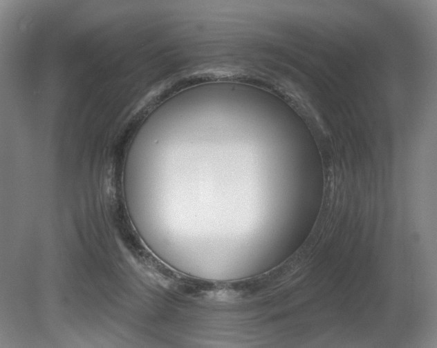 X0000079320212200611170939