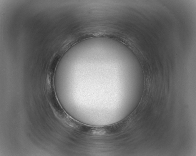 X0000079320214200611170939