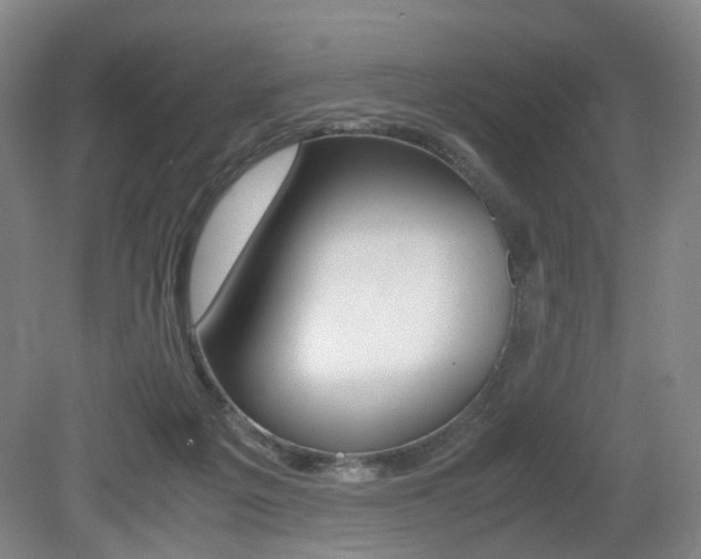 X0000079320217200611170939