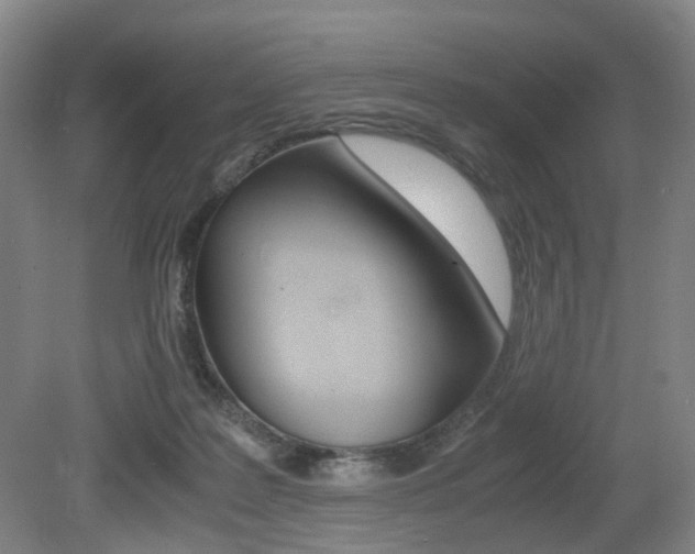 X0000079320219200611170939