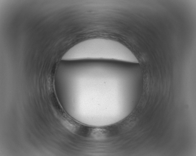 X0000079320222200611170939