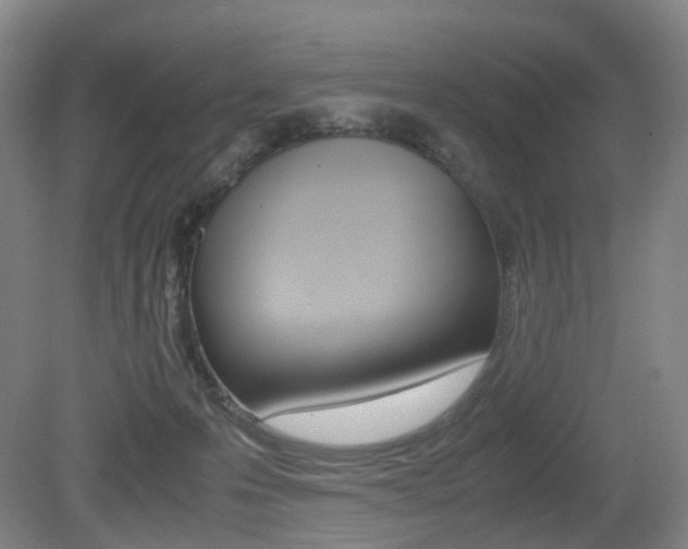 X0000079320223200611170939
