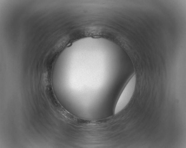 X0000079320224200611170939
