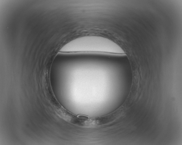 X0000079320225200611170939