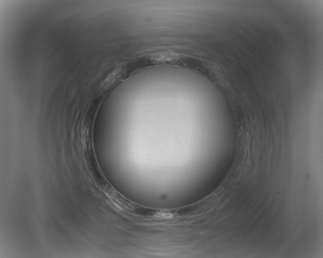 X0000079320227200611170939