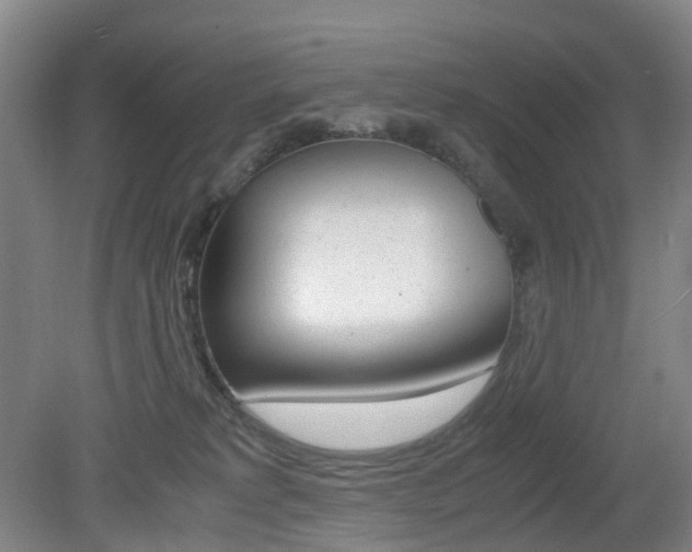 X0000079320229200611170939