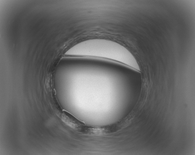 X0000079320233200611170938