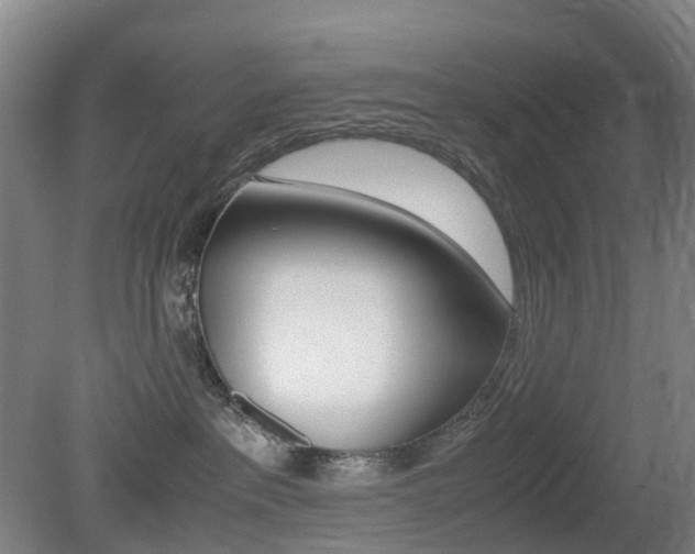 X0000079320237200611170938