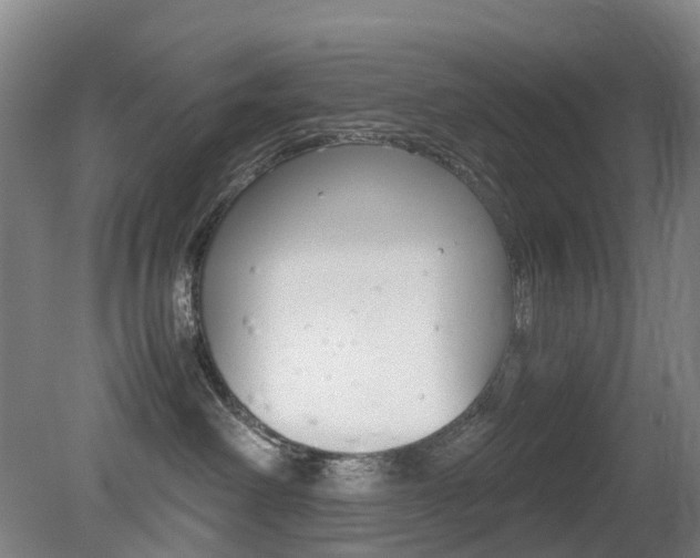 X0000079320238200611170938