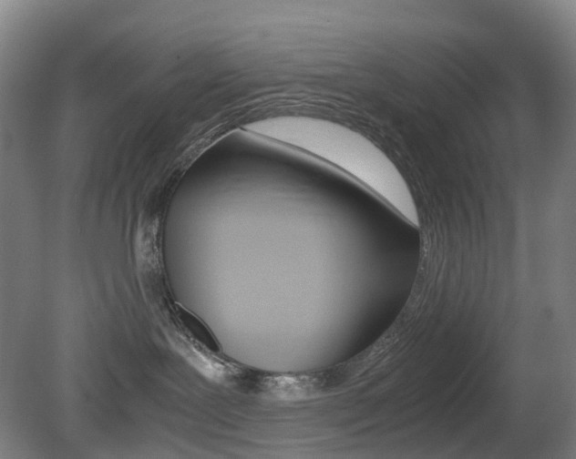 X0000079320239200611170938