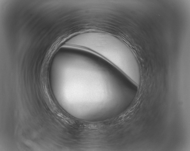 X0000079320241200611170938