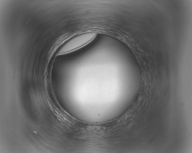 X0000079320242200611170938