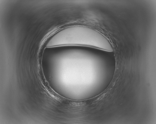 X0000079320245200611170938
