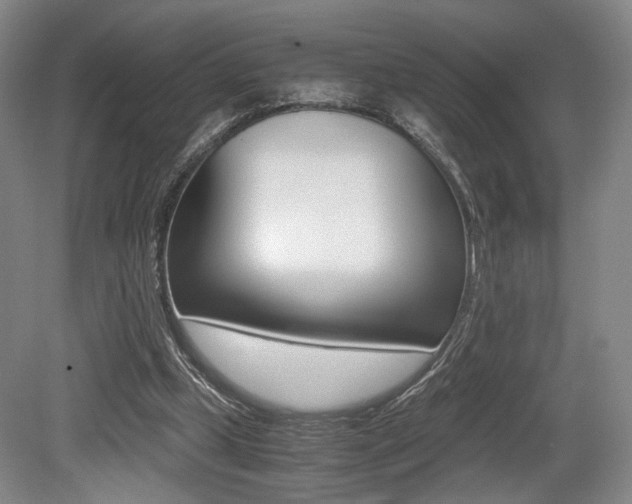 X0000079320249200611170938