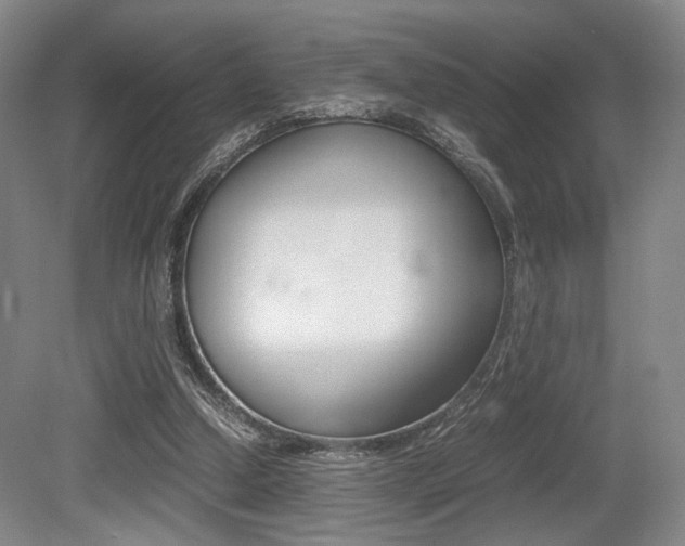 X0000079320250200611170938
