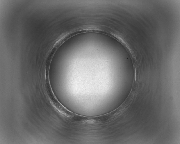X0000079320253200611170938