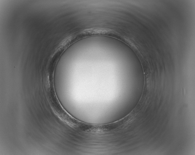 X0000079320254200611170938