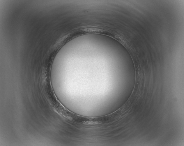 X0000079320255200611170938