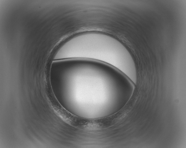 X0000079320256200611170938