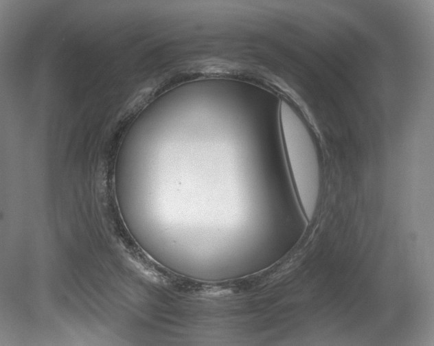 X0000079320257200611170938