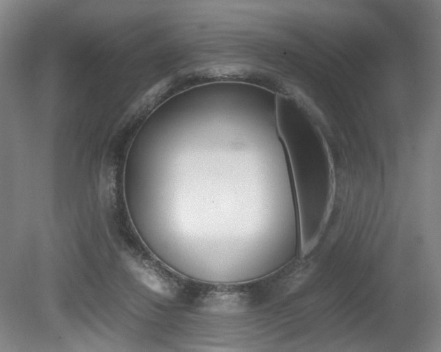 X0000079320260200611170938