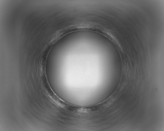 X0000079320261200611170938