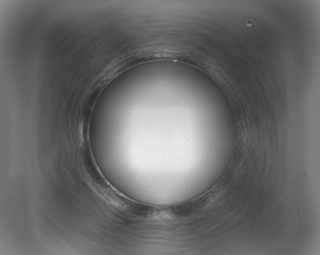 X0000079320262200611170938