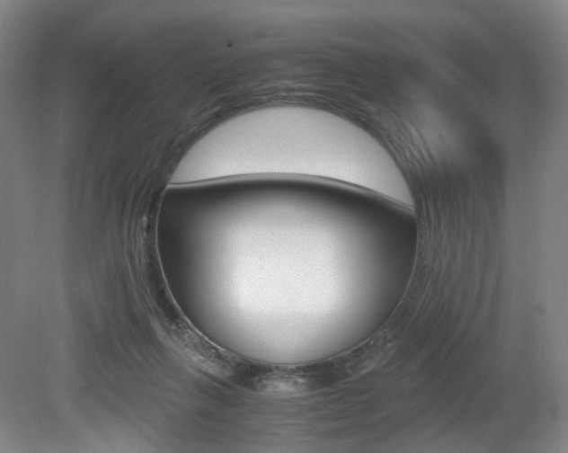 X0000079320263200611170938