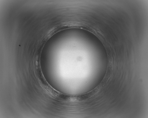 X0000079320264200611170938