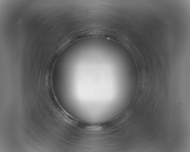 X0000079320266200611170938