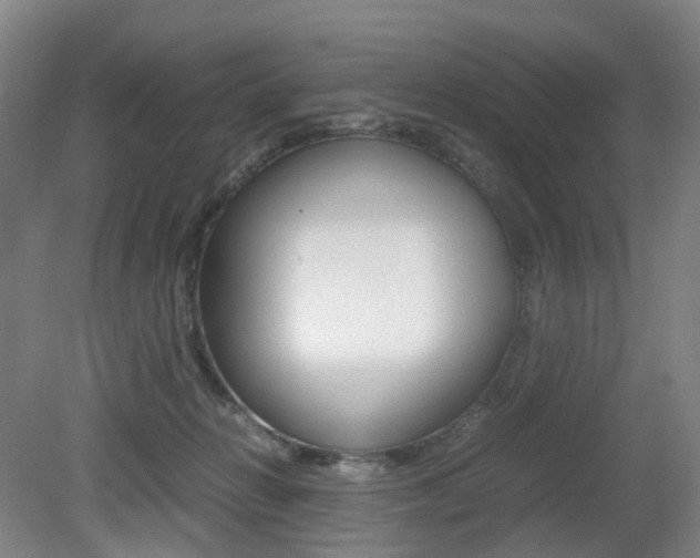 X0000079320270200611170938
