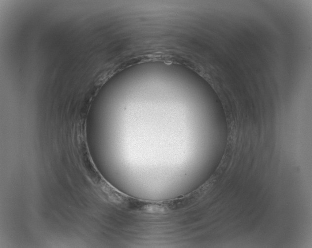 X0000079320272200611170938