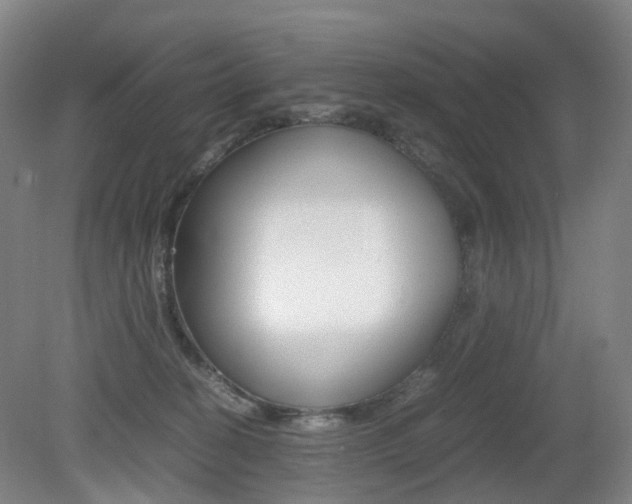 X0000079320274200611170938