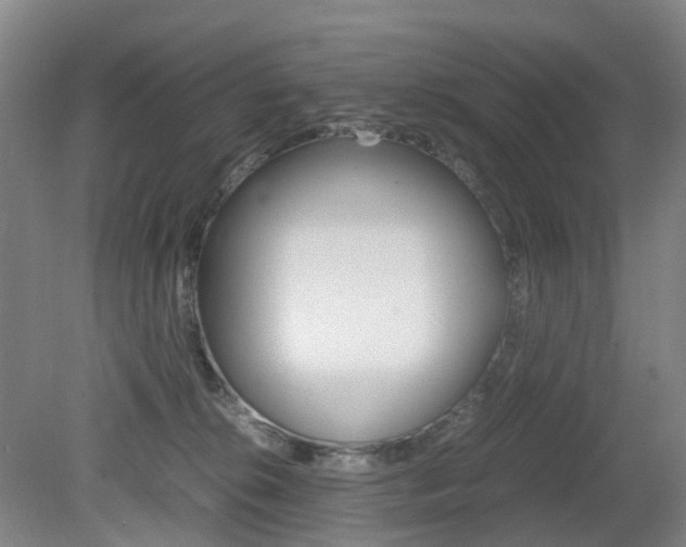 X0000079320276200611170938