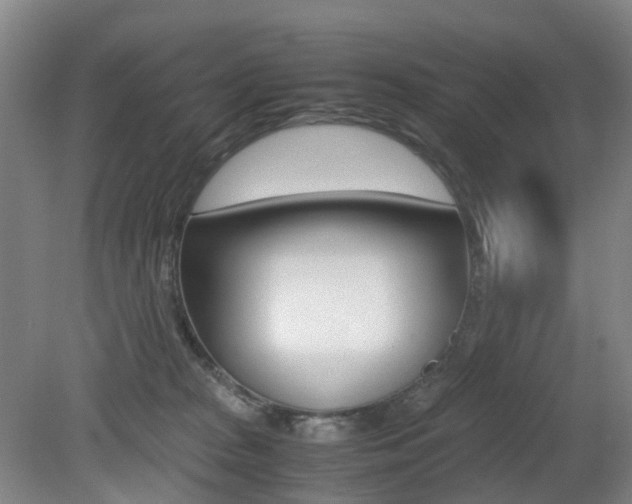 X0000079320277200611170938