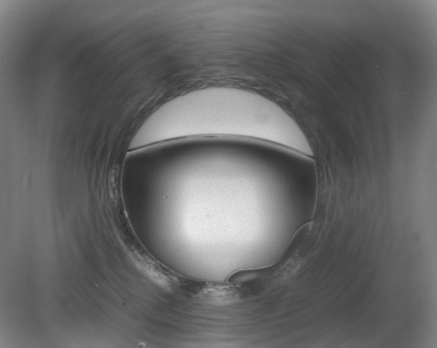 X0000079320280200611170938