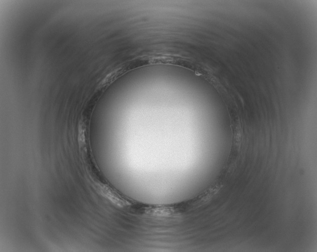 X0000079320282200611170938