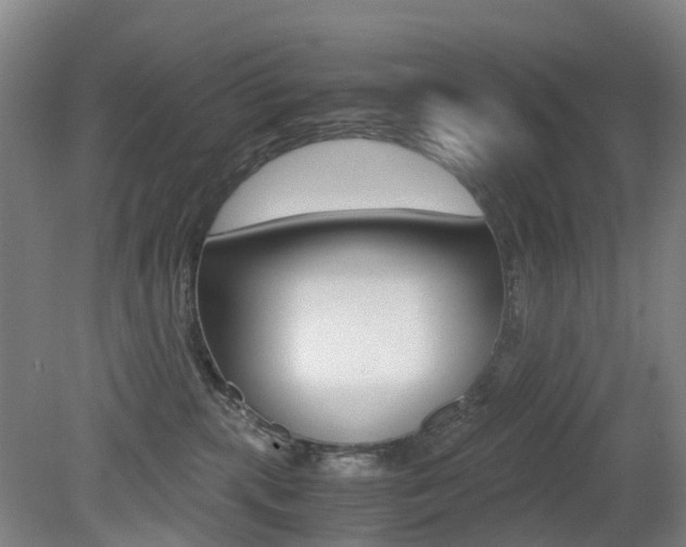 X0000079320283200611170938