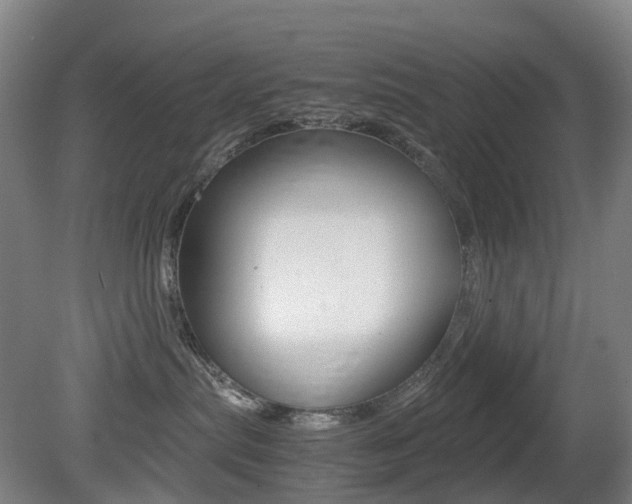 X0000079320287200611170938