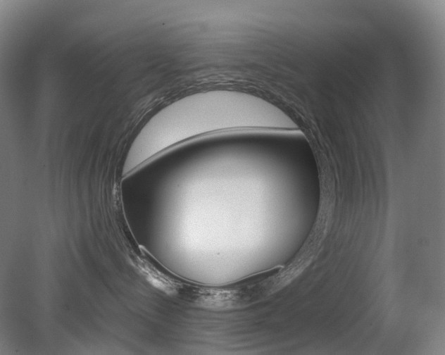 X0000079320288200611170938