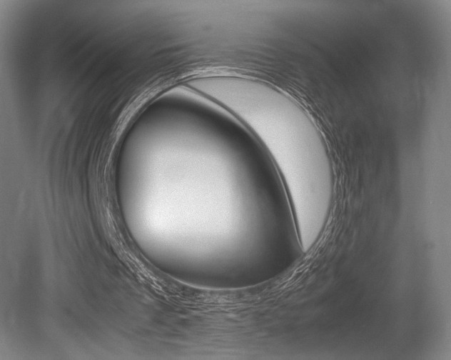 X0000079320289200611170937