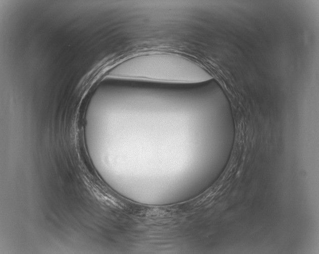 X0000079320290200611170937