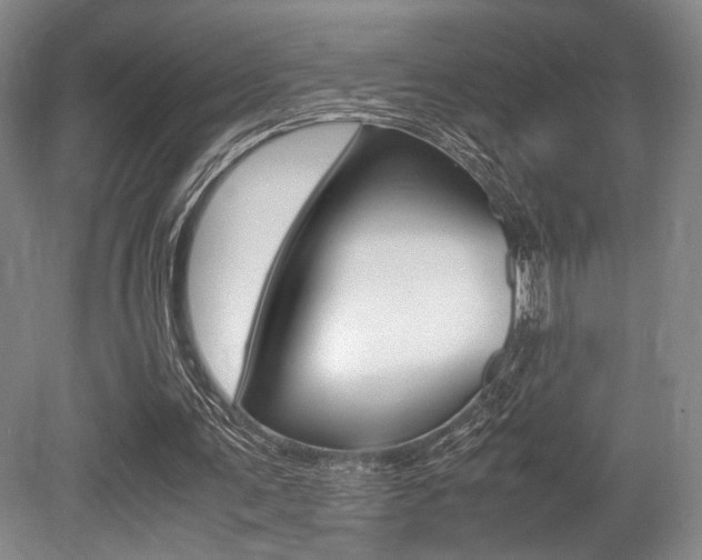 X0000079320291200611170937