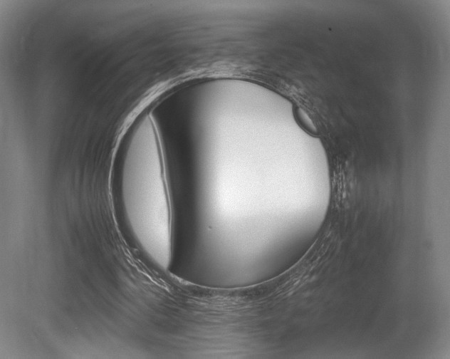 X0000079320292200611170937