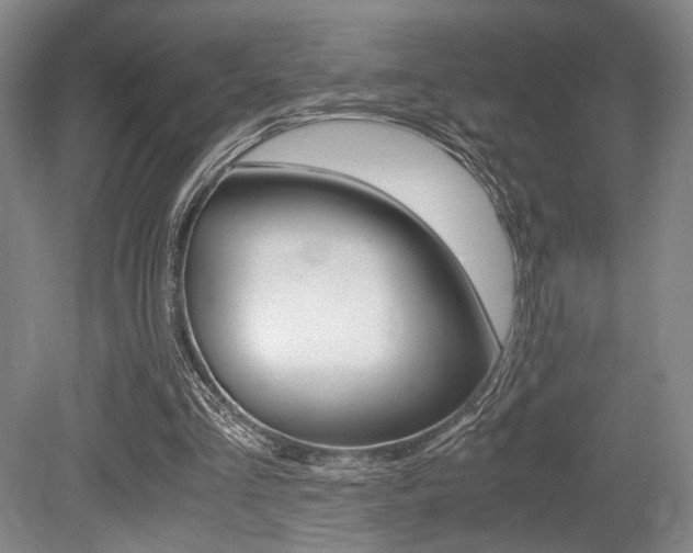 X0000079320293200611170937